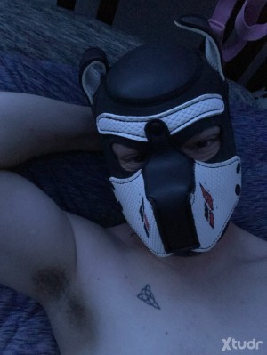 Xtudr - SubPup: Regular fwb. Down for quickie fun rn. Submissive pup here. Chastity, degradation, humiliation. HMU let’s chat