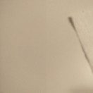 Xtudr - Franxesco18: 