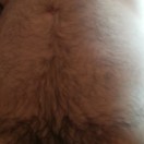 Xtudr - AmoOso: I'm looking for ver...