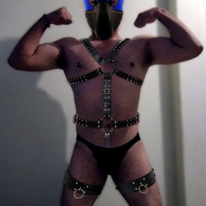 Xtudr - minto: I'm a submissive slave at the orders of a dominant man or several.