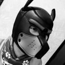 Xtudr - perrito24-7: Soy un perrito...
