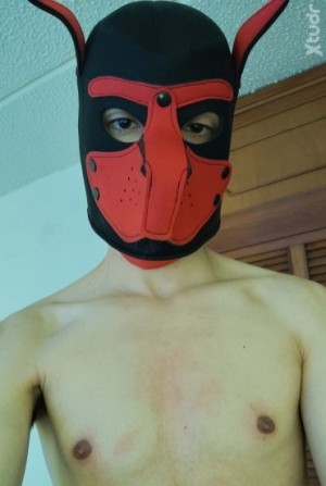 Xtudr - PuppyMaxi: 
