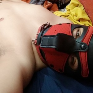 Xtudr - zeroi: 
Busco un compañero para relación abierta que le guste dominar a un chico, convertirlo en un dron sexual, que me entrene para...