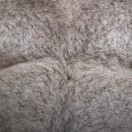 Xtudr - Osokabron79: Hairy, fucker ...