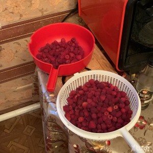 Xtudr - totsam: Uni sex guy, 45 years old, looking for reciprocity in sex