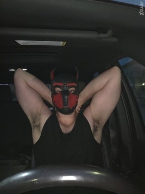 Xtudr - Maverick0312: Looking for a scat partner to play with.