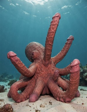 Un pulpo con un cuerpo bulboso y rojo,  tiene varios penes erectos de diferentes tamaños y glande rosa que se unen a su cuerpo en lugar de sus tentáculos. Cada pene es grueso y tiene una textura carnosa, con venas prominentes que recorren su longitud. Se encuentra en el fondo del mar. Todos sus tentáculos y penes eyaculan en el agua del mar. 