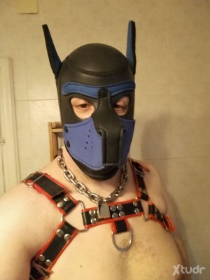 Xtudr - XusitoNovatitoMadrid: Novato con ganas de aprender y dar rienda suelta a sus morbos y fantasías. Aunque tengo mis limitaciones procu...