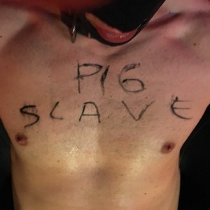 Xtudr - dog: Submissive pig bottom depraved bizarre and discreet to be used, dominated humiliated while I find a dominant male. Always good ...