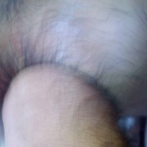 Xtudr - maxanal: What are you looking for today?