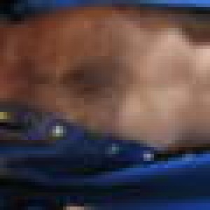 Xtudr - ksado41: Top gun, I want whores starting from around thirty or so