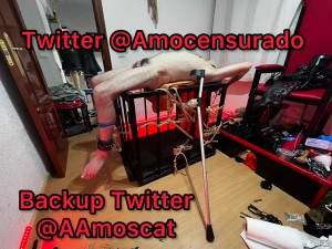 Xtudr - AmoScat<VK<: Xtudr anda censurando mi contenido propio Bdsm consentido entre adultos, puedes saltarte la censura del envidias que an...