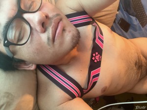 Xtudr - gaychub865: 