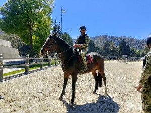 Xtudr - Zeussoldier: Hago ejercicio, soy militar