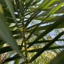 Xtudr - pas-act35: I'm an ...