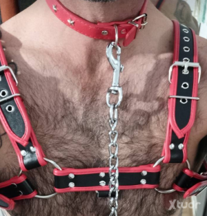 Xtudr - Hetbuscaprobar: I'm a dark-haired, skinny, young guy, looking to try out the subject of submission, what do you propose?