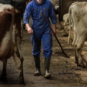 Xtudr - DogMa: Estoy buscando un sumiso auténtico, dispuesto a obedecer y rebajarse sin quejarse, especialmente si le va el rollo manure. Lo...