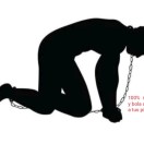 Xtudr - BUSCO_DOM_: NO TRIBUTO.
100...