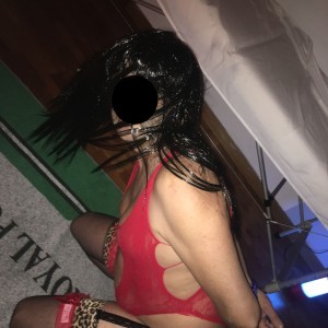 Xtudr - CDSUMISA39: I'm a submissive bottom femme in lingerie, looking for dominant top guys.