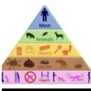 Xtudr - BUSCOomega:  SI BUSCAS QUE ...