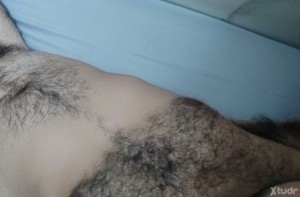 Xtudr - Syrianpig: Syrian pig in Dubai