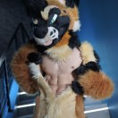 Xtudr - pupblu: No translation need...