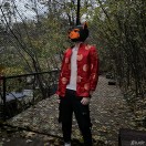 Xtudr - Pup-Light: Let's play