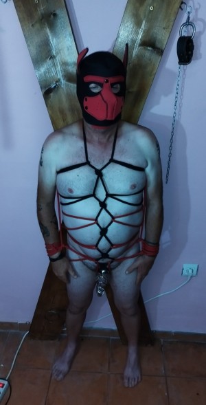 Xtudr - TxasdeMasterThor: Tengo Dueño. Mi Dueño busca dominantes y sumisos para jugar los tres. Mazmorra equipada en Mazarrón, Murcia.
    