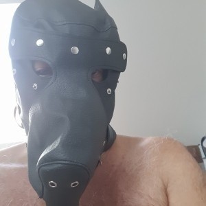 Xtudr - lyc315: sessions, TPE, LTR, ideal 24/7, I really enjoy fetish bondage
I prefer locals to establish a real relationship
I'm not looki...