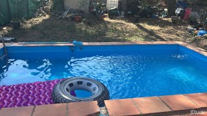 Xtudr - anu41: I'm looking to fuck already tonight