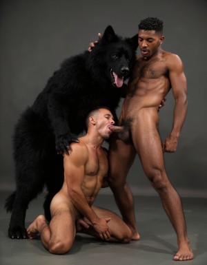 Hombre Lobo, polla gigante, follando a un muchacho de pelo oscuro rapado y con patillas muy viril velludo con gran polla y huevos de gran tamaño. El hombre lobo de rodillas se come con su boca la polla del muchacho 