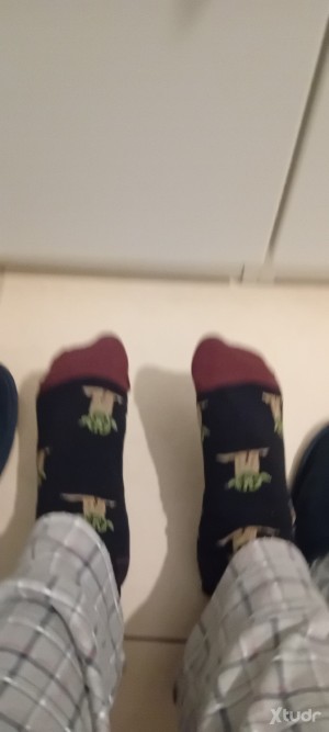 Xtudr - amotf: Quiero a alguien que se sienta orgulloso de ser mi cajero automático personal.Solo acepto sumisos financieros dispuestos a pa...