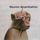 Xtudr - mariquitaesclava: Me van mu...