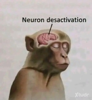 Xtudr - mariquitaesclava: Me van muy bien las dinámicas de poder, la degradación, etc.
Me va la feminización forzada.
De preferencia alguien...