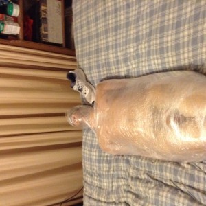 Xtudr - Chico_rebelde: I'm a bondage enthusiast and into mummification, 
I enjoy sensory deprivation as well as deprivation of bodily moveme...