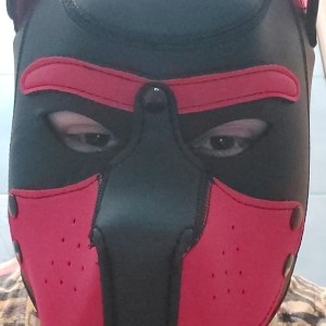 Xtudr - juandad: What are you looking for today?