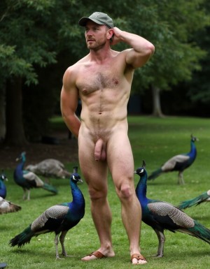 Hombre musculoso desnudo, tiene mucho vello por todo su cuerpo. Su polla es grande y perfectamente formada y con el glande descubierto sin pellejo y a la vista. Lleva una gorra la cabeza y tiene sandalias marrones en sus pies. Su brazo derecho hacia arriba con la mano derecha detrás de la cabeza. Su cintura es muy estrecha , está en un entorno verde rodeado de pavos reales