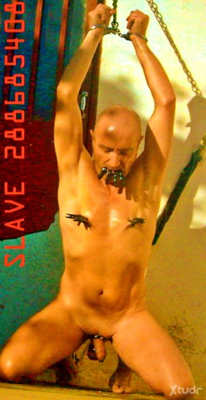 Xtudr - gatogolfo: I'M CURRENTLY DOMINATING MY SUBMISSIVE MAN