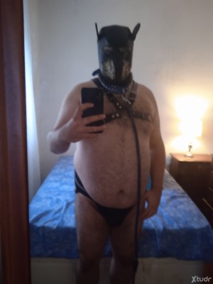 Xtudr - PasivoBBbizkaia: I'm looking for people to suck dicks and swallow cum. Mature ones especially. If you're interested, send a message....