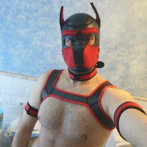 Xtudr - Pigwon: I almost love all bdsm practices. I would love to find someone stable to have trust and go discovering the limits. I have ex...