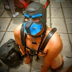 Xtudr - Pup_Leeko: My puppy name is Leeko
I'm mostly submissive
Fetishes: Impact play, masochism, bondage, immobilization, feet, chastity.
A...