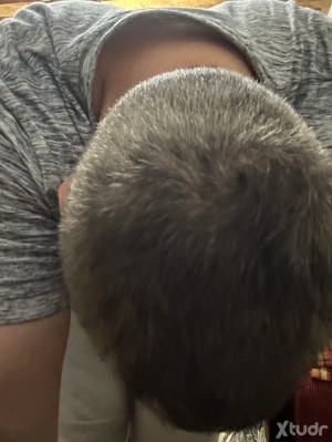 Xtudr - Frannk: Servir a un amo 24 h .obedecerlo y cuidarlo 