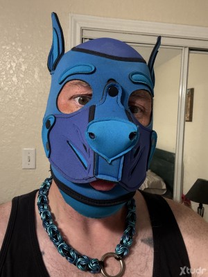 Xtudr - puppaxton: Just a pup sniffing around 