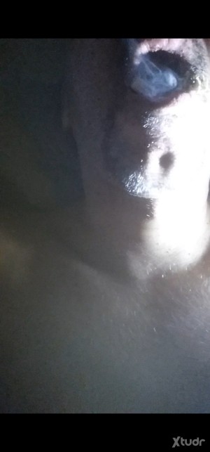 Xtudr - cenicero47bdn: hola soy un cenicero gay me encanta tener ls boca de colillas cigarros y porros y alguna tacha que se aya medio apaga...