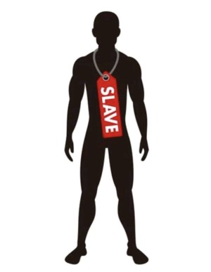 Xtudr - fhf1jkoy: Busco alpha por sierra madrid vcañada escorial las rozas collado villalba