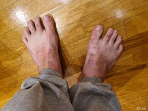 Xtudr - AMOBEAR90: Un puto amo en busca de un sumiso cyber al cual anular su asquerosa y repugnante mente que sea un puto pagafantas y hacer...