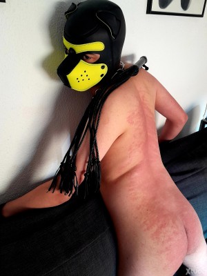 Xtudr - subboy22: Hello, here submissive with experience. Looking for 24/7 and a true dominant man.