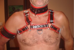 Xtudr - redobjectsp: Shaved, brown-haired, little hair, super hung, submissive, Thursday and Friday in Madrid for super dilation and/or subm...