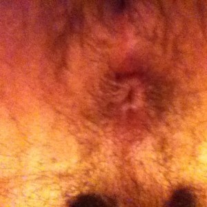 Xtudr - carlosxx: I'm a guy with no experience, teach me.