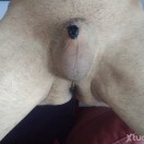 Xtudr - Tobyhuelva67: Dog of vocati...